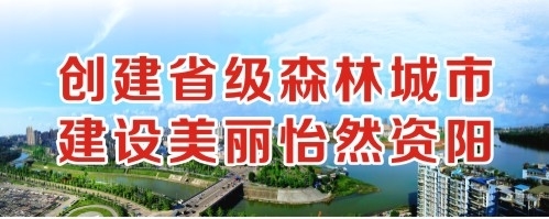 中国微胖肥逼操老太太肥逼创建省级森林城市 建设美丽怡然资阳